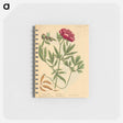 アートメモ帳-Paeonia faemina
 - 国立医学図書館 Memo.