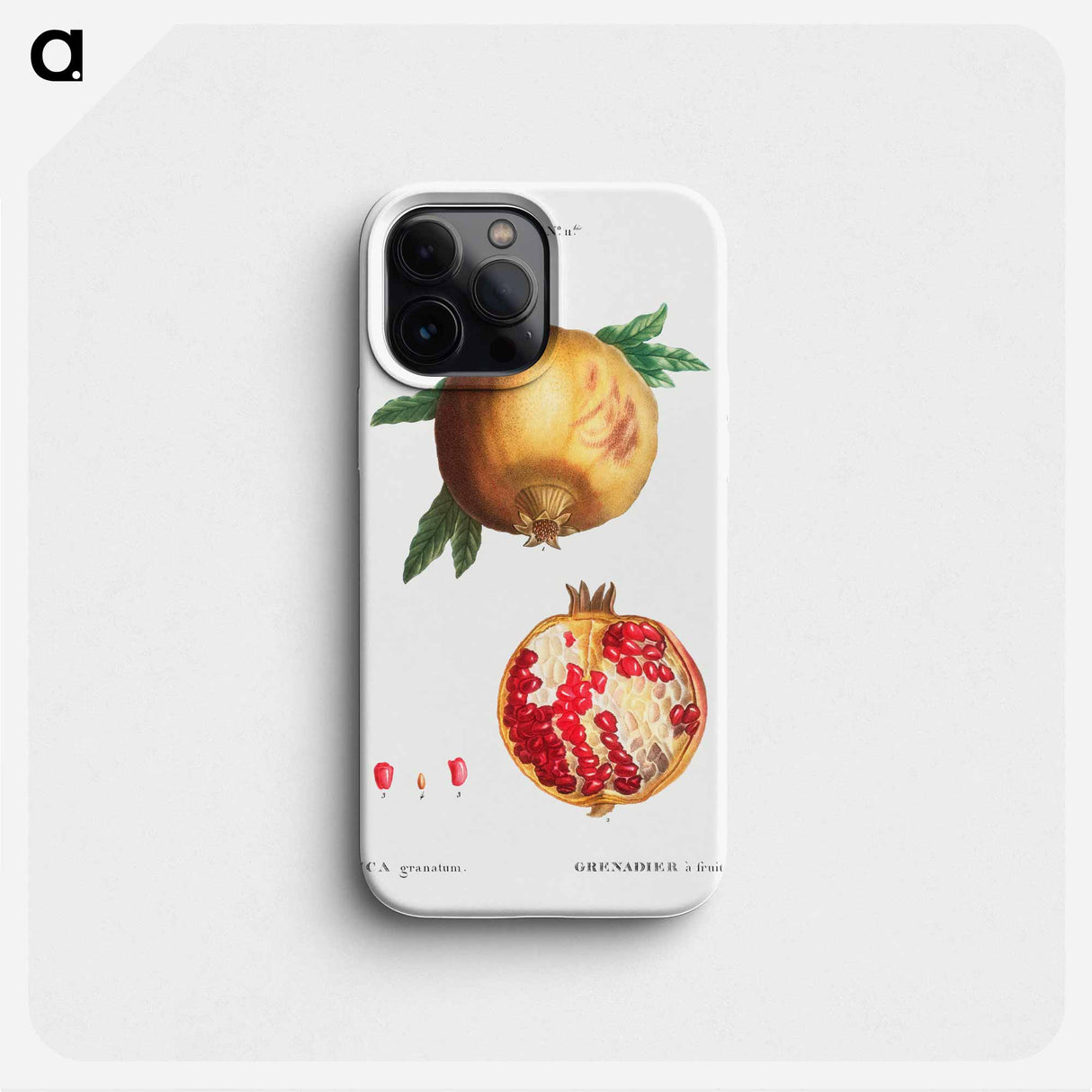 Pomegranate - ピエール ジョゼフ ルドゥーテ Phone Case.