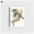アートメモ帳-Crested Titmouse from Birds of America
 - アメリカの鳥たち Memo.