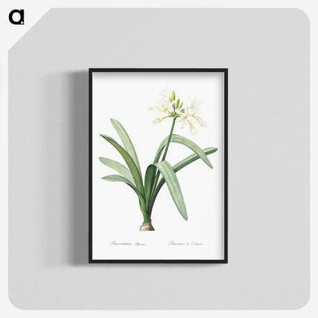 3-16_The-Lilies_blk-crop