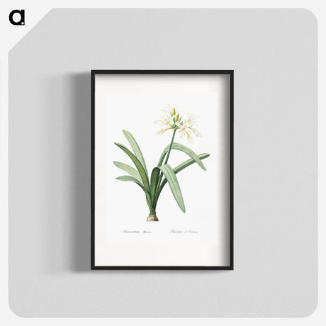 3-16_The-Lilies_blk