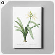 3-16_The-Lilies_canvas