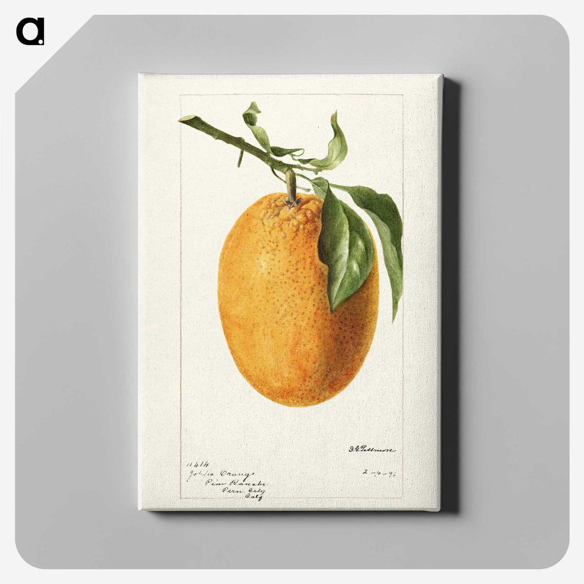 3-16_USDA-Watercolor-Fruit-Painting-Collection_canvas