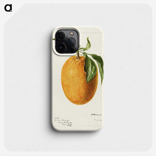 3-16_USDA-Watercolor-Fruit-Painting-Collection_phone