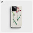 3-17_Anselmus-Boetius-de-Boodt_phone
