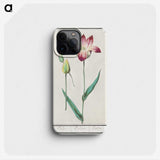 3-17_Anselmus-Boetius-de-Boodt_phone