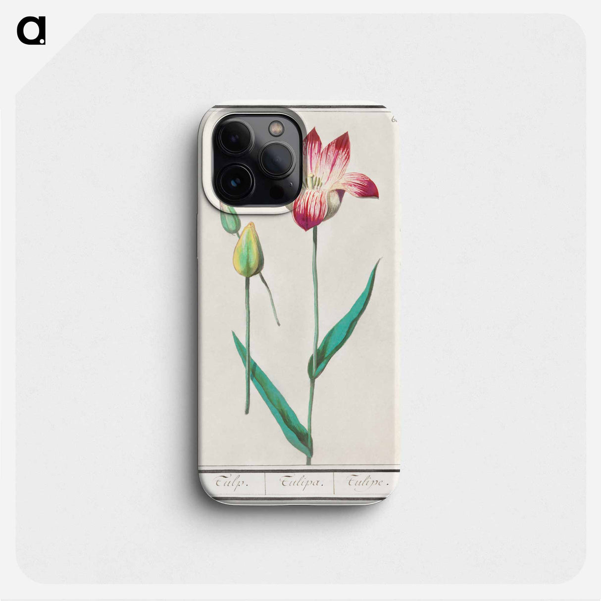 Tulip - アンセルムス ボエティウス デ ブート Phone Case.