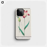 Tulip - アンセルムス ボエティウス デ ブート Phone Case.