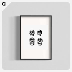 アートポスター-Skull from Voyages and Adventures in Equatorial Africa
 - 大英図書館 Poster.