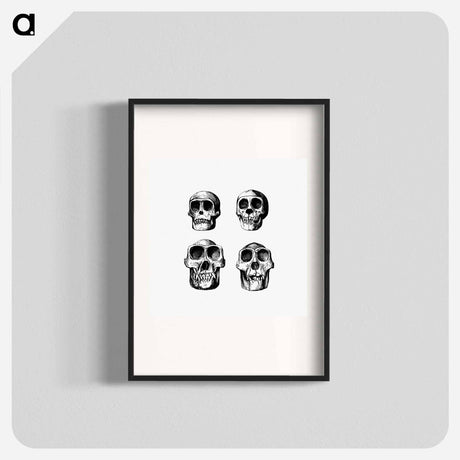 アートポスター-Skull from Voyages and Adventures in Equatorial Africa
 - 大英図書館 Poster.