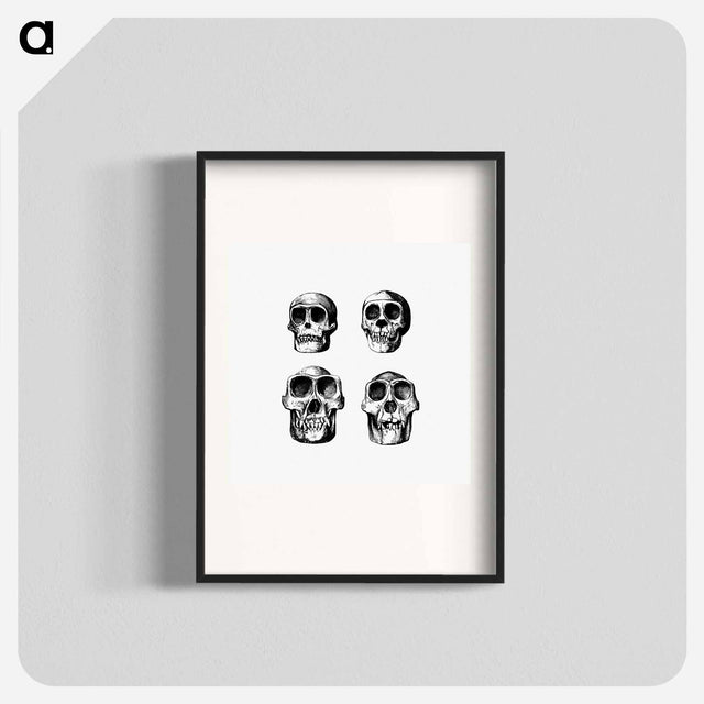 アートポスター-Skull from Voyages and Adventures in Equatorial Africa
 - 大英図書館 Poster.