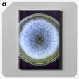 3-17_COVID-19_canvas