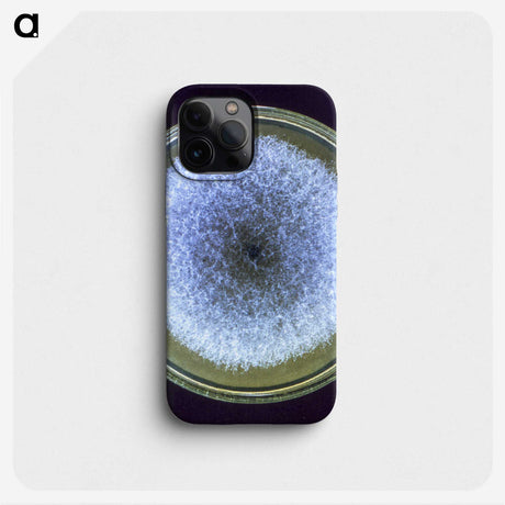 3-17_COVID-19_phone