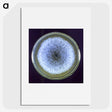 3-17_COVID-19_picture