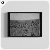 3-17_Dorothea-Lange_blk-crop