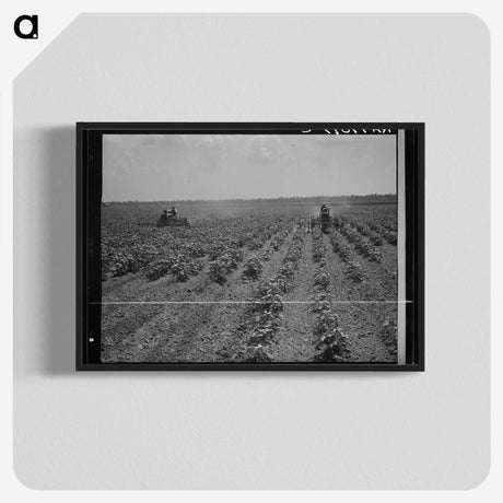 3-17_Dorothea-Lange_blk-crop