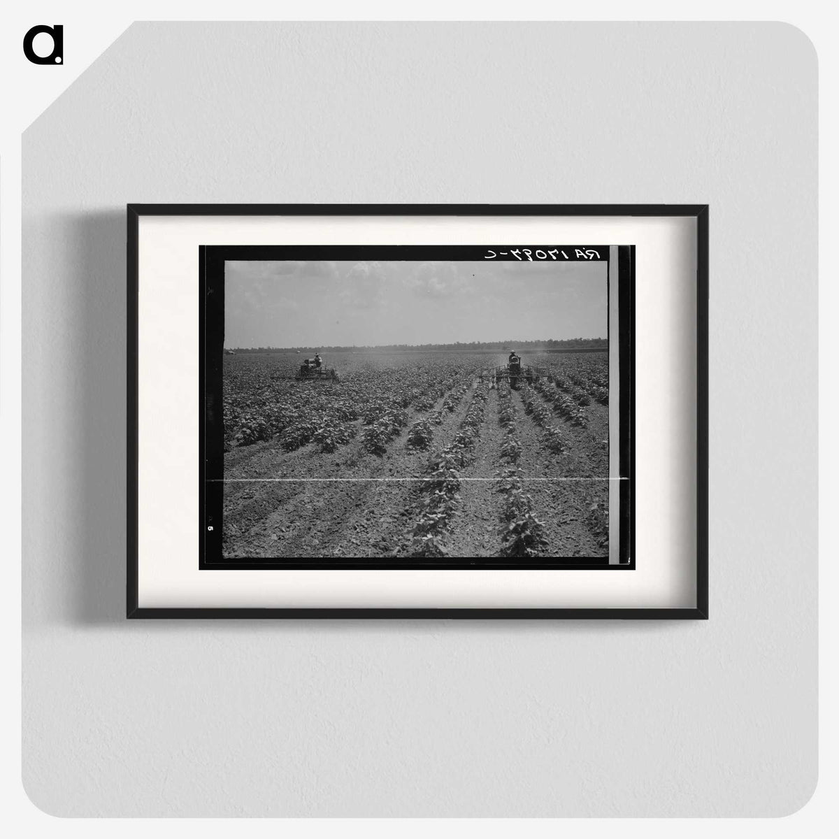 3-17_Dorothea-Lange_blk
