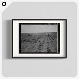 3-17_Dorothea-Lange_blk