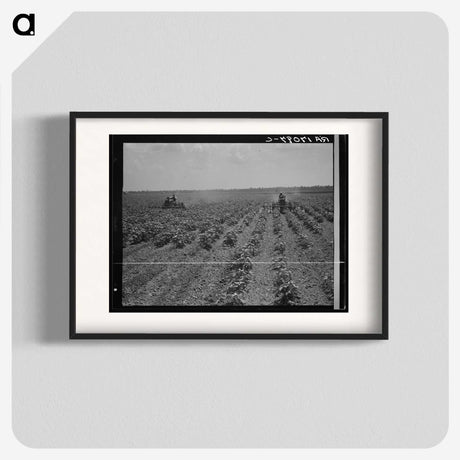 3-17_Dorothea-Lange_blk