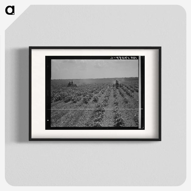 3-17_Dorothea-Lange_blk