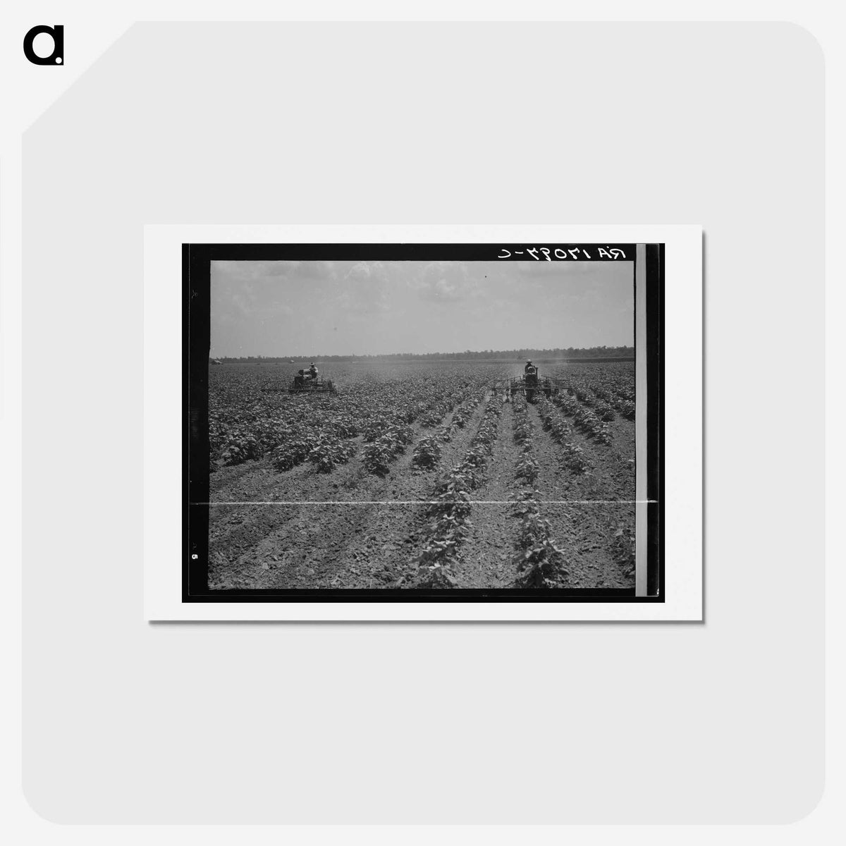 3-17_Dorothea-Lange_hagaki