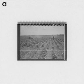 アートメモ帳-Tractors cultivating cotton - ドロテア ラング Memo.