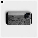 3-17_Dorothea-Lange_phone