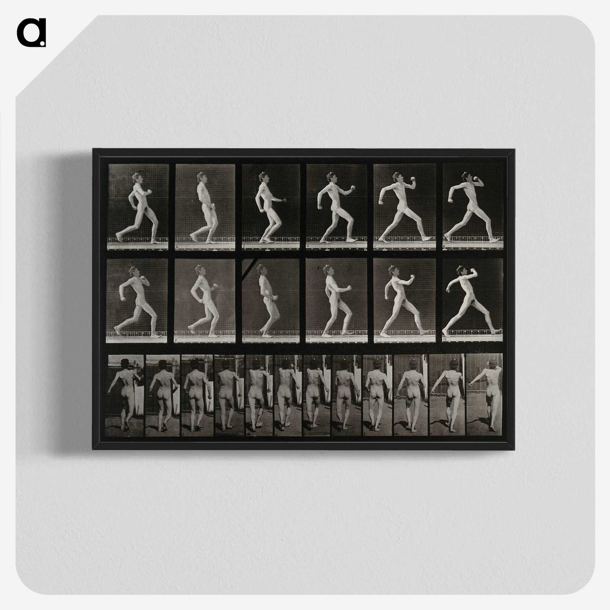 3-17_Eadweard-Muybridge_blk-crop