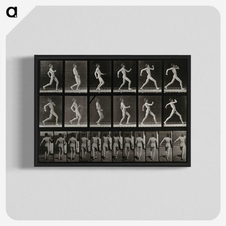 3-17_Eadweard-Muybridge_blk-crop