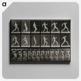 3-17_Eadweard-Muybridge_canvas