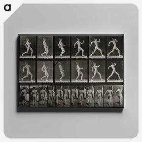 3-17_Eadweard-Muybridge_canvas