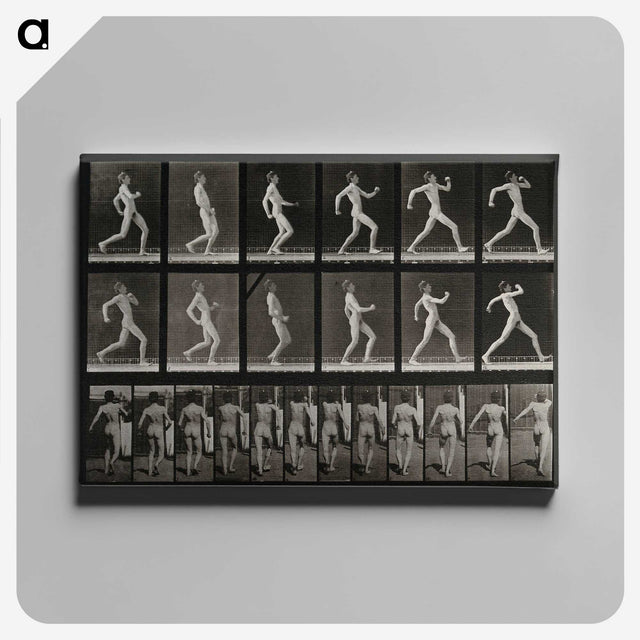 3-17_Eadweard-Muybridge_canvas