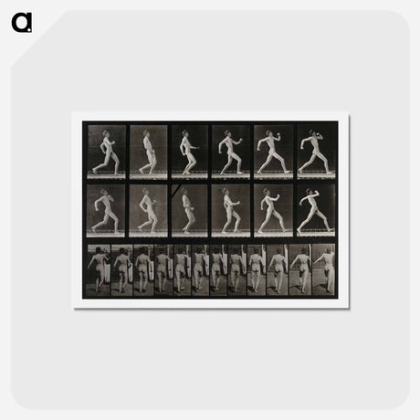 アートポストカード-Running Man
 - エドワード マイブリッジ Postcard.