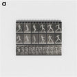 3-17_Eadweard-Muybridge_memo