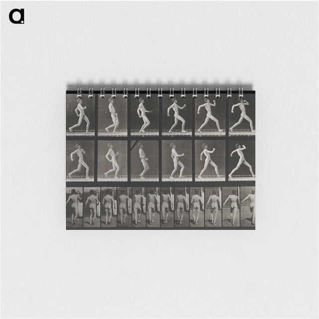 3-17_Eadweard-Muybridge_memo