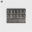 アートメモ帳-Running Man
 - エドワード マイブリッジ Memo.