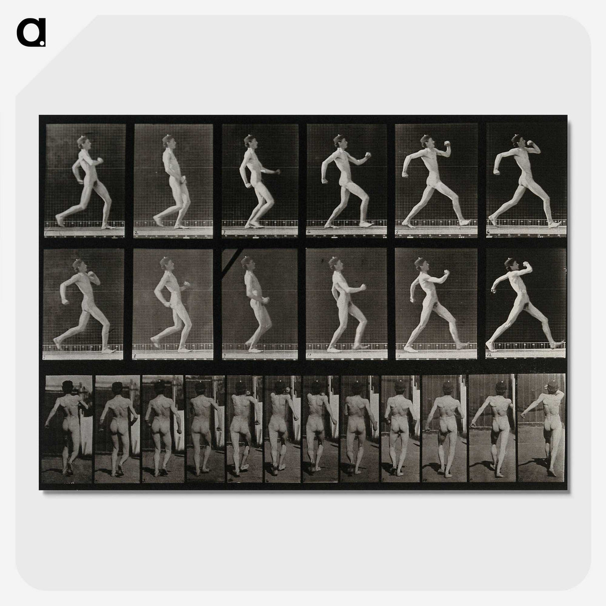 3-17_Eadweard-Muybridge_picture-crop