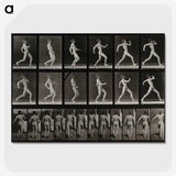 3-17_Eadweard-Muybridge_picture-crop