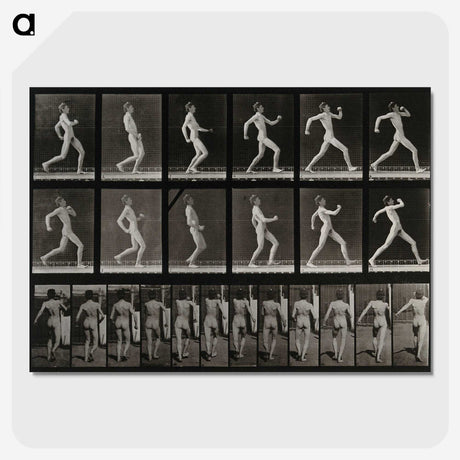 3-17_Eadweard-Muybridge_picture-crop