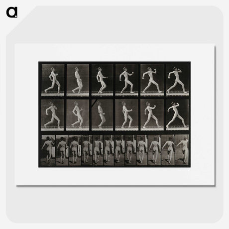 3-17_Eadweard-Muybridge_picture
