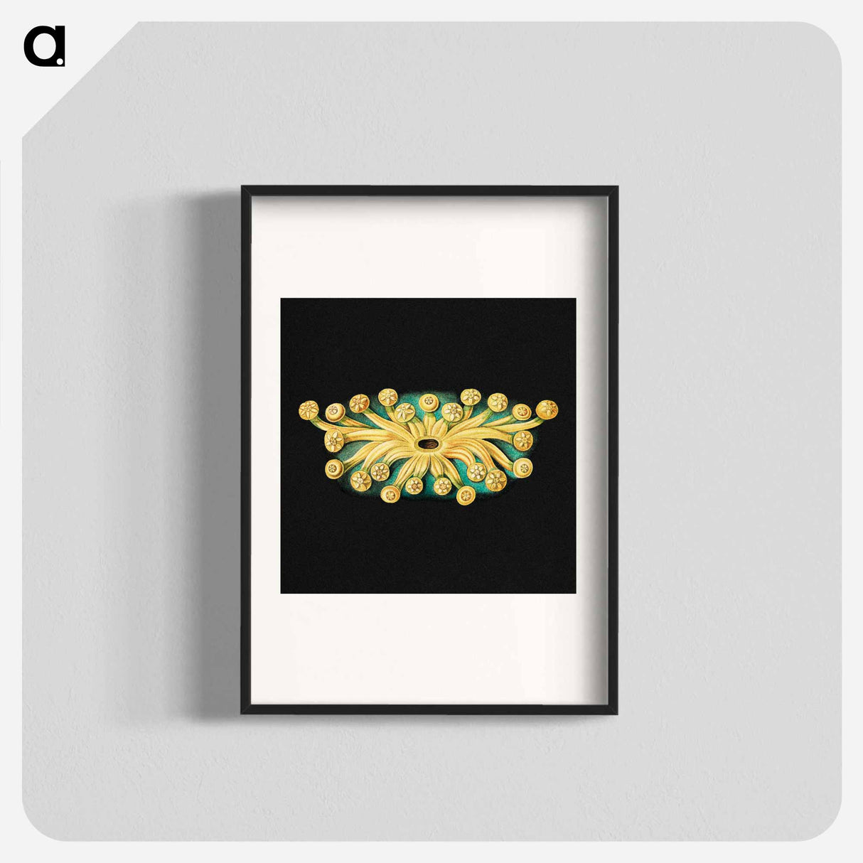 Colorful vintage tunicate marine life illustration - エルンスト ヘッケル Poster.