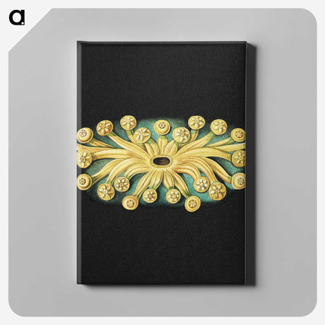 3-17_Ernst-Haeckel_canvas