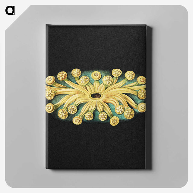 3-17_Ernst-Haeckel_canvas