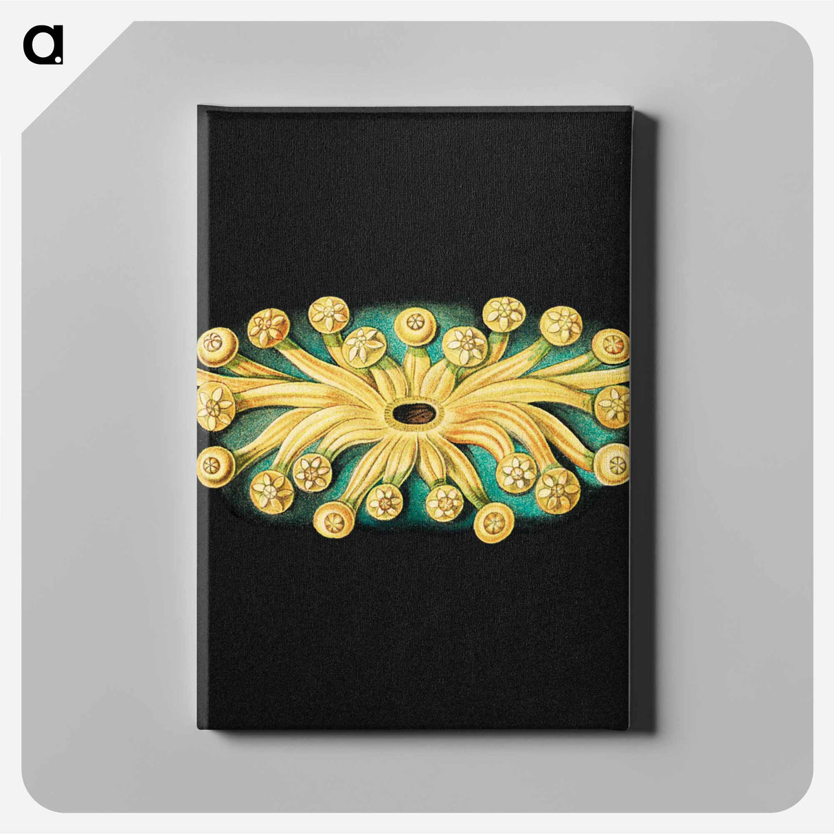 Colorful vintage tunicate marine life illustration - エルンスト ヘッケル Canvas.