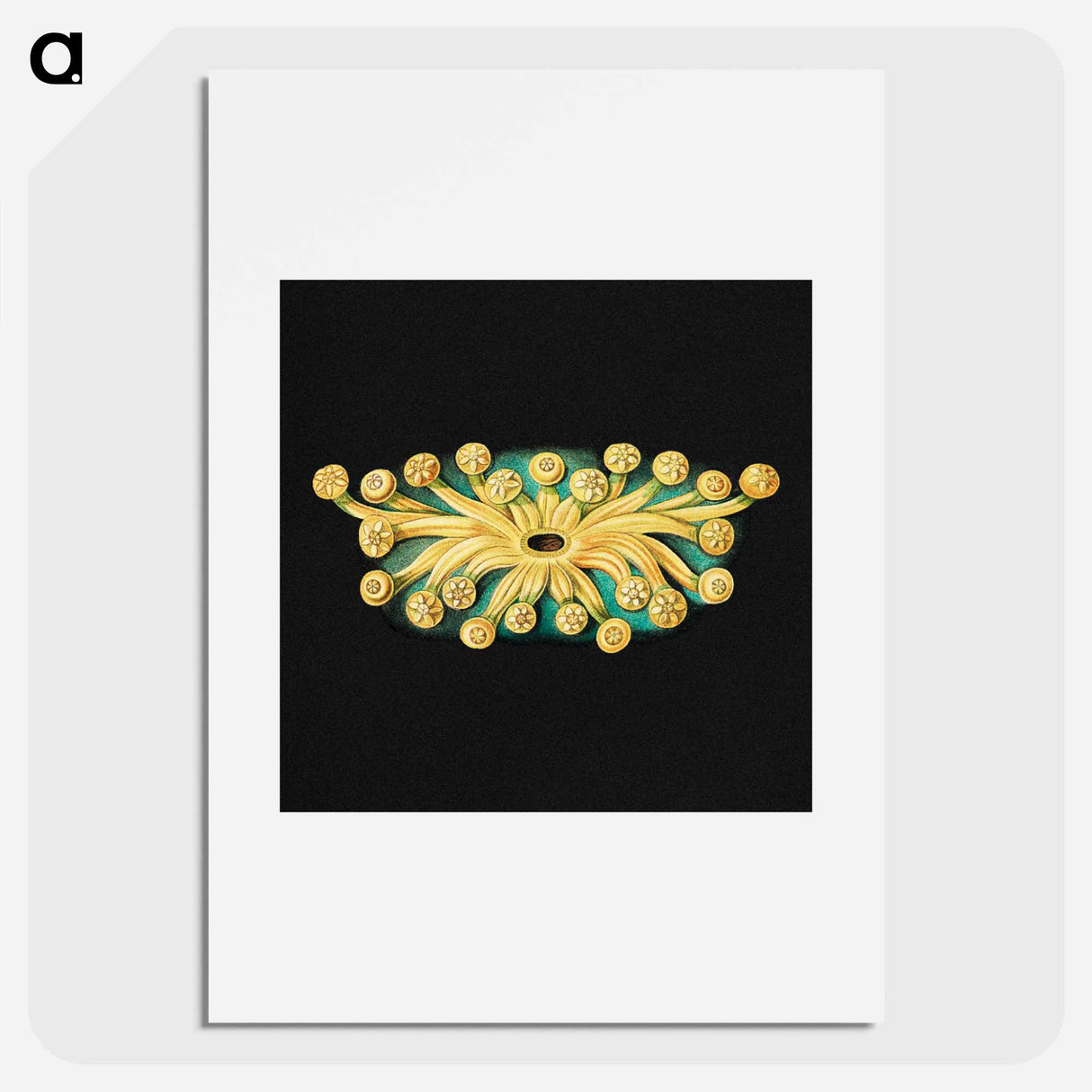 Colorful vintage tunicate marine life illustration - エルンスト ヘッケル Poster.