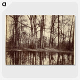 3-17_Eugene-Atget_picture-crop