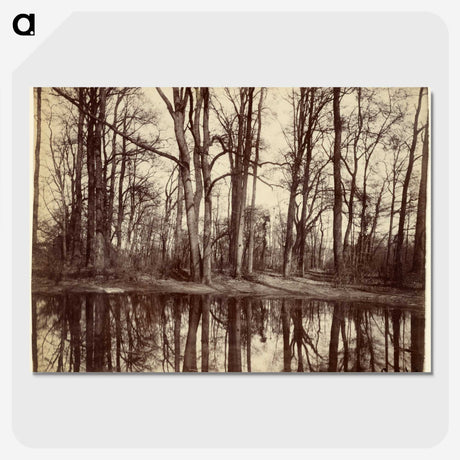 3-17_Eugene-Atget_picture-crop