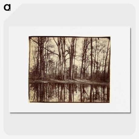 3-17_Eugene-Atget_picture