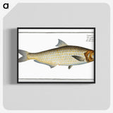 3-17_Ichtyologie-ou-Histoire-naturelle_blk-crop
