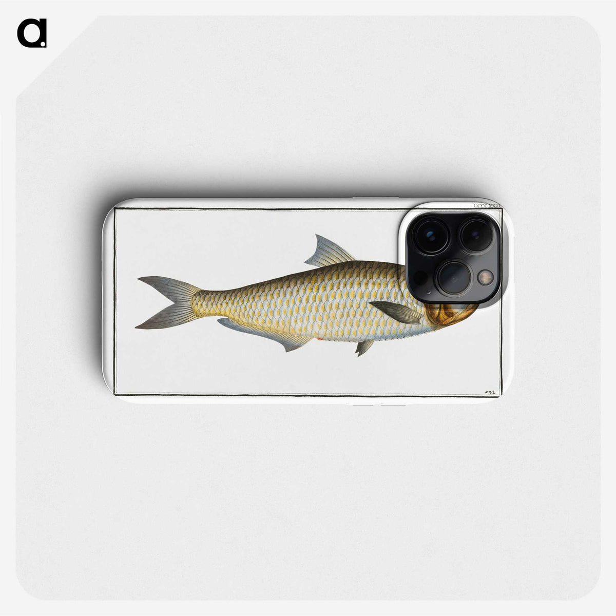 3-17_Ichtyologie-ou-Histoire-naturelle_phone
